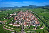 France, Haut Rhin, Alsace Wine Route, Bergheim, old fortified medieval town in the middle of the vineyards (aerial view)\n