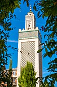 France, Paris, the Great Mosque of Paris\n