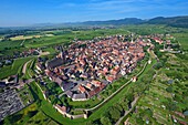 France, Haut-Rhin, wine road of Alsace, Bergheim, old medieval and fortified city surrounded by vineyards (aerial view)\n