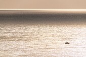 Frankreich, Pas de Calais, Opalküste, Cap Gris-Nez, Kleines Sportboot vor Kap Gris-Nez