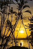 France, Caribbean, Lesser Antilles, Guadeloupe, Grande-Terre, Le Gosier, Creole Beach Hotel, view of the Petit Cul-de-Sac lagoon at sunset\n
