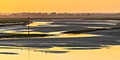 France, Somme, Somme Bay, Saint Valery sur Somme, Sunrise on the channel of the Somme at low tide\n