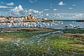 Frankreich, Manche, Barfleur, ausgezeichnet mit dem Prädikat Die schönsten Dörfer Frankreichs, gestrandeter Fischerhafen