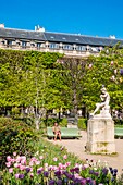 France, Paris, garden of the Palais Royal\n