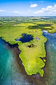 France, Caribbean, Lesser Antilles, Guadeloupe, Grand Cul-de-Sac Marin, heart of the Guadeloupe National Park, Grande-Terre, Morne-à-l'Eau, Canal Cove, aerial view on the widest mangrove belt of the Lesser Antilles, Guadeloupe Biosphere Reserve\n