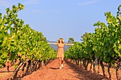 Frankreich, Var, La Motte, Spaziergang eines jungen Paares im Weinberg AOP Côtes de Provence des Château des Demoiselles