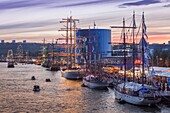 France, Seine Maritime, Rouen, Armada 2019, elevated sunset view on the crowd of visitors and on moored tall ships\n