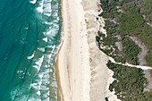 France, Gironde, Carcans, the beach, the dune and the pine forest (aerial view)\n