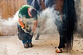 France, Oise, Chantilly, Chantilly Castle, the Great Stables, Roger Laville, blacksmith, change horses irons\n