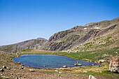 France, Hautes Alpes, Ecrins National Park, Orcieres Merlette, Natural Reserve of the Circus of Grand Lac des Estaris\n