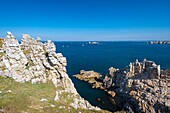 Frankreich, Finistere, Regionaler Naturpark Armorica, Halbinsel Crozon, Camaret-sur-Mer, Pointe de Pen Hir