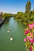 France, Val de Marne, Joinville le Pont, the edges of Marne, surf paddle, Fanac island on the right\n