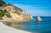 France, Finistere, Armorica Regional Natural Park, Crozon Peninsula, Porzic beach\n