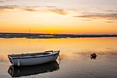 France, Somme, Somme Bay, Natural Reserve of the Somme Bay, Saint Valery sur Somme, the quays along the channel of the Somme in the early morning with the boats used by hunters to cross the river\n