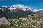 Frankreich, Hautes Alpes, Oisans-Massiv, Nationalpark Ecrins, Vallouise, Wanderung zur Pointe des Tetes, das Gipfelplateau und der Dormillouse-Kopf