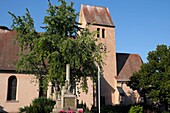 France, Bas Rhin, Muttersholtz, Protestant church dated 13th to the 18th centuries, war memorials\n
