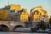 France, Paris, area listed as World Heritage by UNESCO, Neuf Bridge and Vert Galant Square\n
