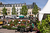 France, Territoire de Belfort, Belfort, Place Corbis, Belflorissimo, flower market, every year in may\n