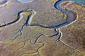 France, Charente Maritime, Ile de Re, Les Portes en Re, Lilleau des Niges nature reserve, mud of the Fier d'Ars at low tide (aerial view)\n