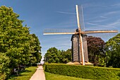 Frankreich, Nord (59), Cassel, Französisches Lieblingsdorf im Jahr 2018, der Berg Cassel dominiert das Dorf mit seiner alten Holzmühle und einem schönen öffentlichen Garten