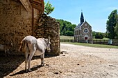 France, Yvelines, haute vallée de Chevreuse natural regional park, Magny les hameaux, Port Royal des champs Cistercian abbey founded in 1204, oratory\n