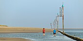 France, Somme, Somme Bay, Saint-Valery-sur-Somme, Cape Hornu, Walkers along the channel of the Somme\n