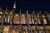 France, Eure et Loir, Chartres, Saint Pierre church illuminated during Chartres en Lumieres, nave, stained glass windows dated 13th and 14th centuries\n