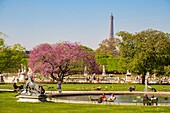 France, Paris, the Tuileries Garden\n