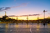 France, Paris, area listed as World Heritage by UNESCO, Alexandre III Bridge\n