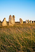 France, Finistere, Armorica Regional Natural Park, Crozon Peninsula, Camaret-sur-Mer, Lagatjar Alignment or Toulinguet megalithic alignment\n