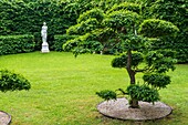 France, Loiret, Montbarrois, Parc du manoir de la Javeliere (Javeliere Manor House Park), Garden\n
