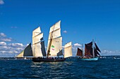 France, Finistère, Brest, LA CANCALAISE France Brest International Maritime Festival 2016\n