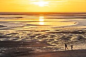 France, Somme, Somme Bay, Nature Reserve of the Somme Bay, Le Crotoy, Twilight on the beach of Le Crotoy a summer evening while tourists come to admire the sunset\n