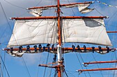 France, Seine Maritime, Rouen, Armada of Rouen 2019, Sailors in yards of Sedov\n