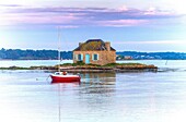 France, Morbihan, Ria d'Etel, Belz, Saint Cado, the islet of Nichtarguer and his house with blue shutters\n