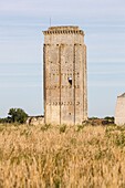 Frankreich, Indre et Loire, Le Grand Pressigny, Schloss Grand Pressigny, Museum für die Vorgeschichte von Grand Pressigny