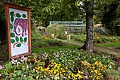 France, Haut Rhin, Husseren Wesserling, Wesserling Park, garden, India with 1000 faces, 2019\n