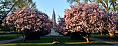 France, Bas Rhin, Strasbourg, Neustadt district dating from the german period listed as World Heritage by UNESCO, Place de la Republique, magnolia in bloom, war monument, a mother holds her two dying sons, one looks over France and the other looks over Germany and Notre Dame Cathedral in the background\n