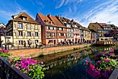 France, Haut Rhin, Alsace Wine Road, Colmar, La Petite Venise district, traditional half-timbered houses, quai de la Poissonnerie\n