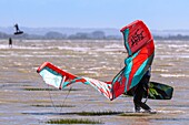 "France, Somme, Bay of the Somme, Le Crotoy, Crotoy beach is a spot for kitesurfing and windsurfing; in the aftermath of a storm, while the sun has returned with a powerful wind, the athletes are numerous and their multicolored sails brighten up the landscape"\n