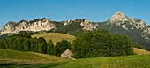 Frankreich, Haute Savoie, Massiv des Chablais, Bernex, Panorama auf die Felsen des Gipfels von Memizes, den Berg Cesar und den Zahn der Oche vom Berg Benand und der Almscheune