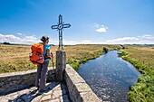 France, Lozere, Aubrac Regional Nature Reserve, surroundings of Marchastel, hike along the Via Podiensis, one of the French pilgrim routes to Santiago de Compostela or GR 65, bridge over Le\n