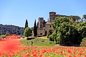 France, Vaucluse, Lourmarin, labellise the Most beautiful Villages of France, the old castle of the XVth century and the castle the Renaissance of the XVIth century\n