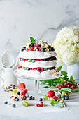 Meringue cake with summer berries