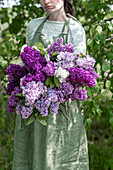 Woman carrying lilacs of different kinds