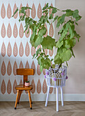 Potted plant in white metal stand and wooden chair in front of pastel-colored patterned wallpaper