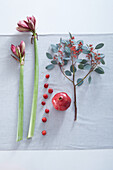 Rot schimmernde Amaryllis, Granatapfel, kleine rote Holzäpfel und rot blühender Eukalyptus