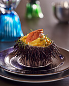 Sea urchin with scrambled egg