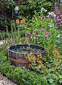 Wooden barrel as a mini pond in the lush flower garden