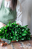 Woman holding wild garlic